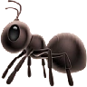 Ant Emoji 🐜 image - Apple style