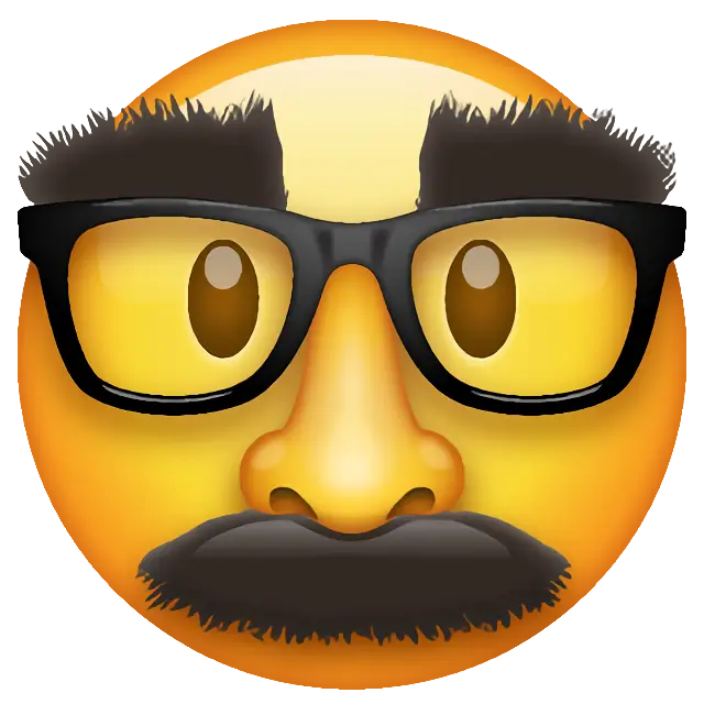 Disguised Face