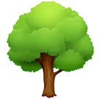 Árbol de hoja caduca
