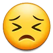 Persevering Face