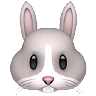Rabbit Face