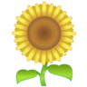 Ayçiçeği Emoji 🌻 image - Emojidex style