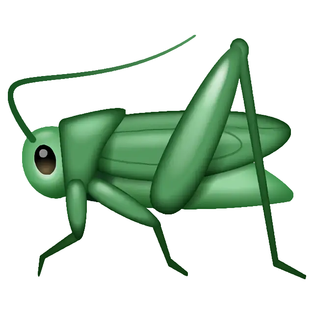 Cricket