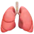 肺