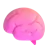 Brain