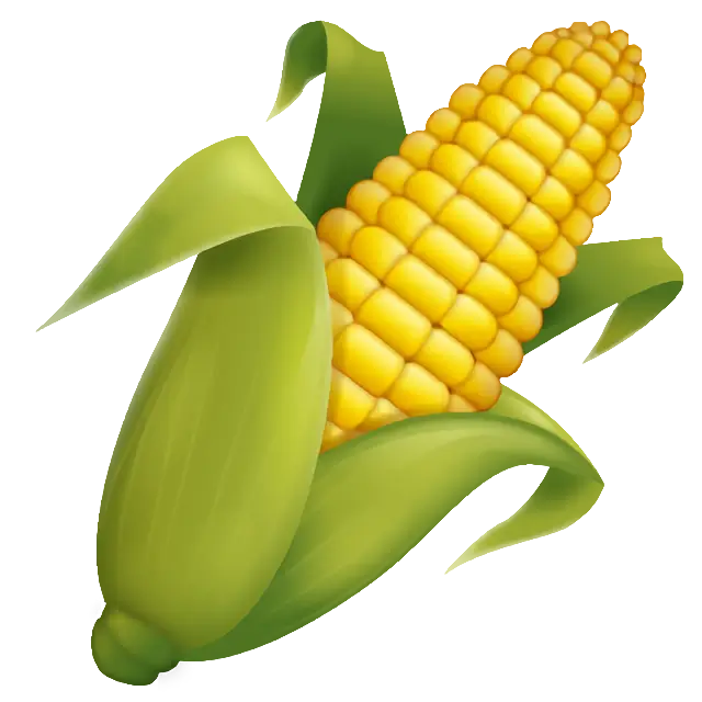 Початок кукурузы