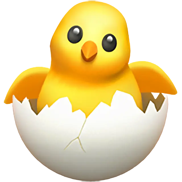 Hatching Chick