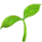 모