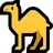 Dromedary Camel