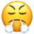 Face With Steam From Nose