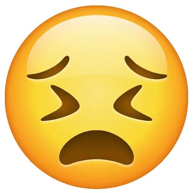 Persevering Face
