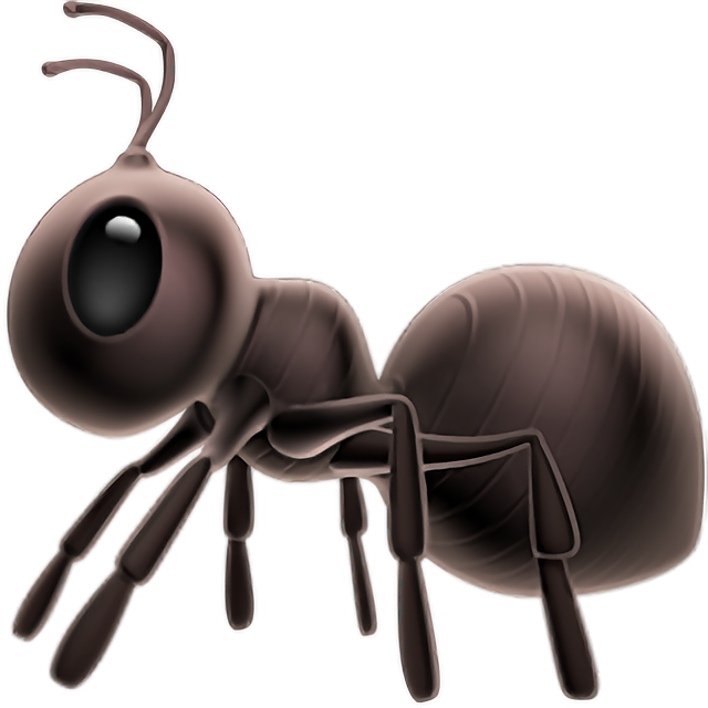 Ant