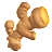 ショウガ