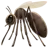 蚊子