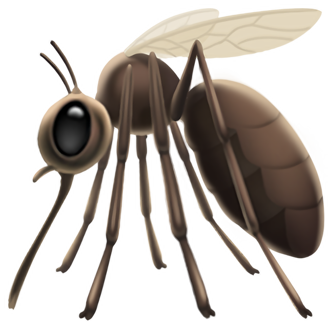 Mosquito