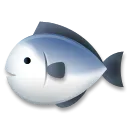 Fisch