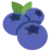 Blueberries