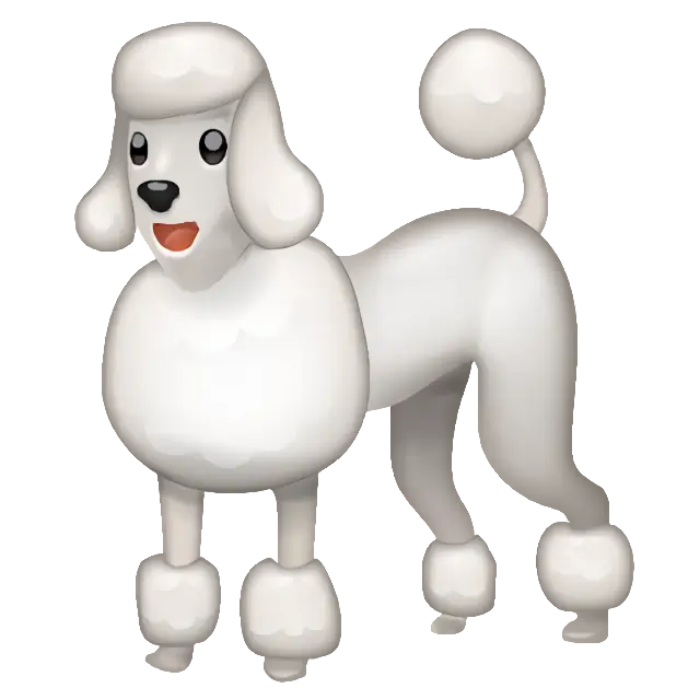 贵宾犬