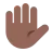 Raised Hand: Medium-Dark Skin Tone