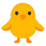 Front-Facing Baby Chick Emoji 🐥 image - Google Noto Color Animated style