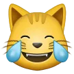 Cat With Tears Of Joy