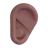 Ear: Medium-Dark Skin Tone