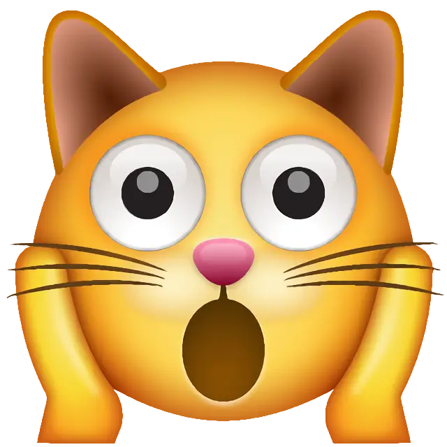 疲れた猫の顔