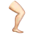 Leg: Light Skin Tone