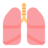 plămânii
