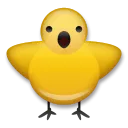 Front-Facing Baby Chick