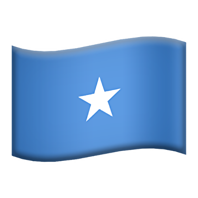 Flag: Somalia