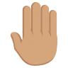 Raised Back Of Hand: Medium Skin Tone Emoji 🤚🏽 image - EmojiTwo style