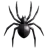 蜘蛛