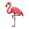 火烈鳥