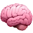 Cerveau