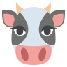 Эмодзи Морда коровы 🐮 image - EmojiTwo style
