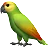 Papagaio