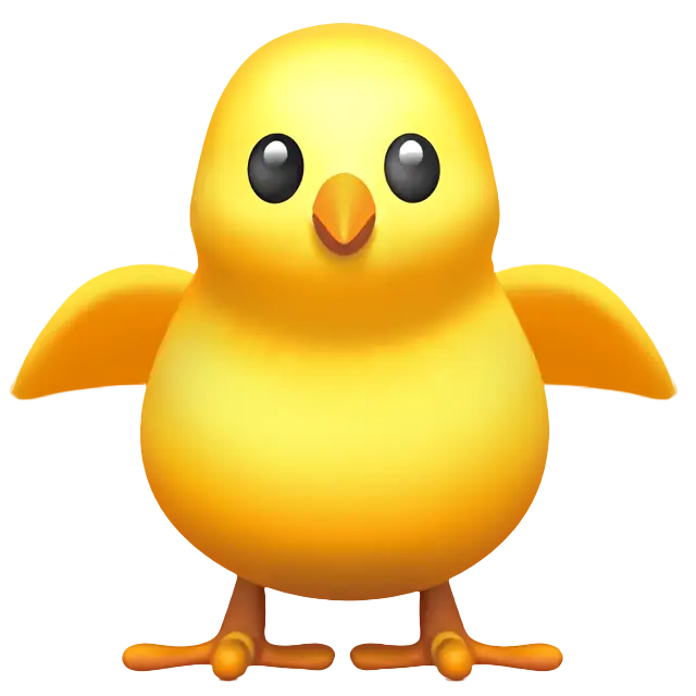 Front-Facing Baby Chick