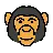 モンキーフェイス