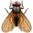 飛行