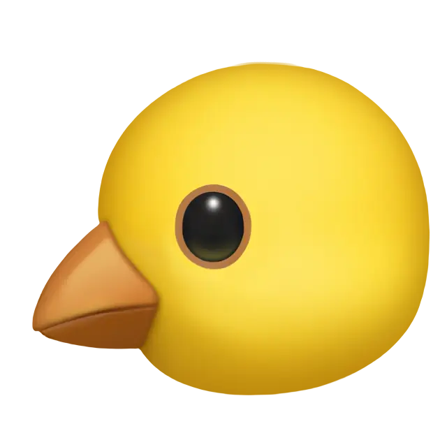 Baby Chick
