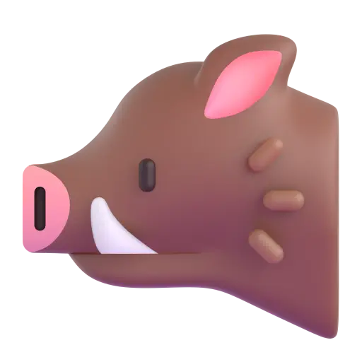 Boar