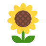 Emoji floarea-soarelui 🌻 image - Microsoft Classic 2D style