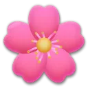 Cherry Blossom