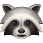 狸