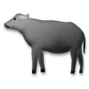 Water Buffalo