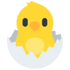 Hatching Chick