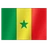 Flag: Senegal
