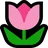 튤립