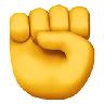 Raised Fist